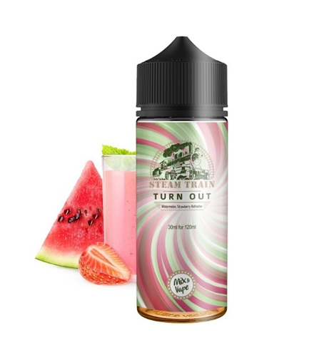 Steamtrain | Turn Out 120ml